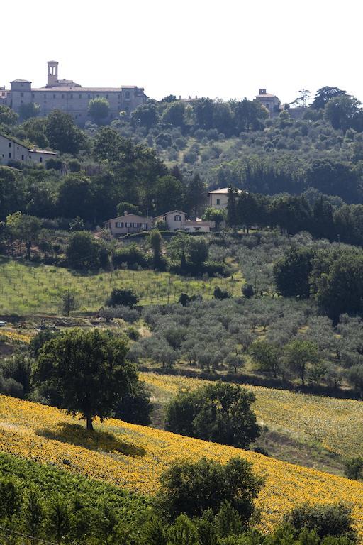 Agriturismo Il Girasole Montefalco Exterior foto
