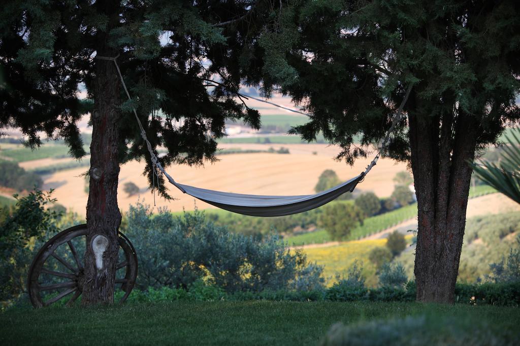 Agriturismo Il Girasole Montefalco Exterior foto