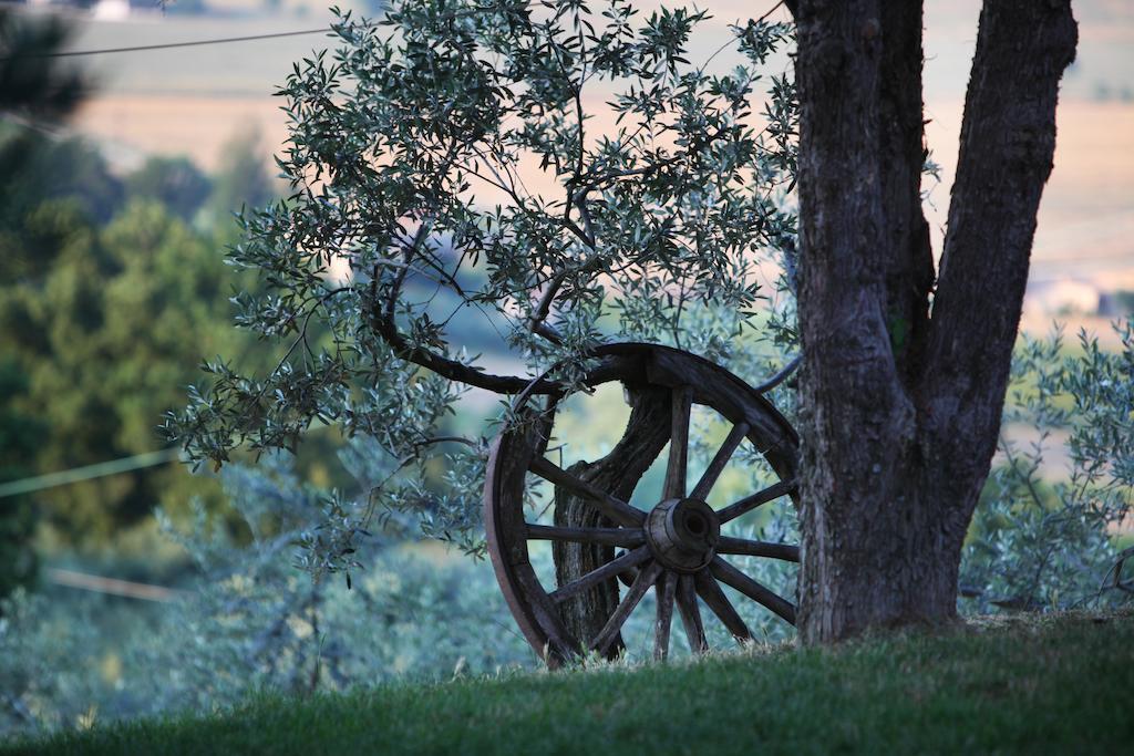 Agriturismo Il Girasole Montefalco Exterior foto