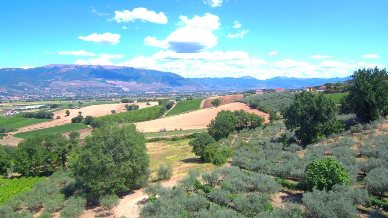 Agriturismo Il Girasole Montefalco Exterior foto